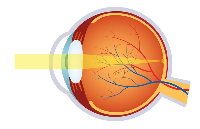 Óptica fisiológica aplicada